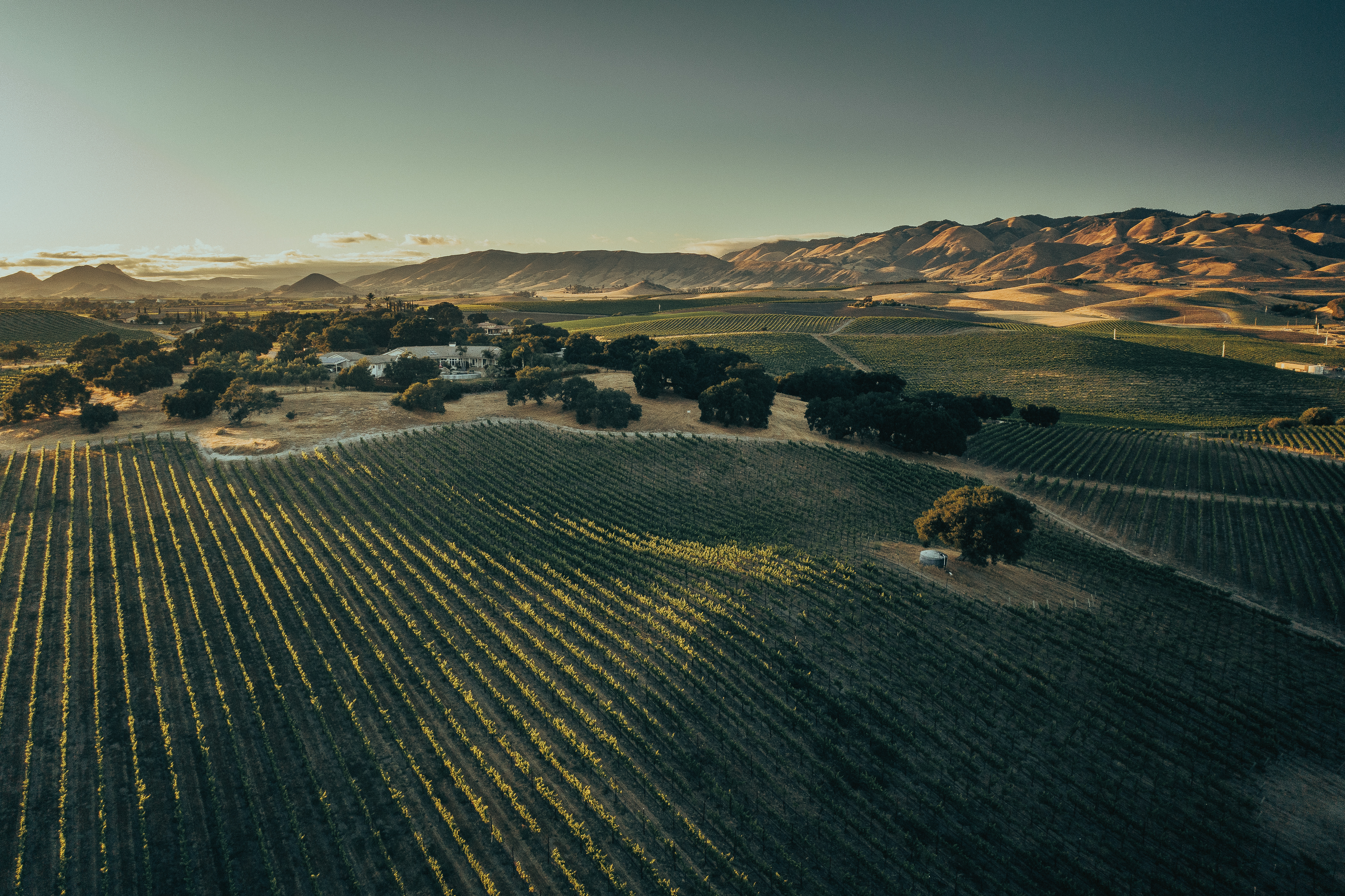Kynsi Winery